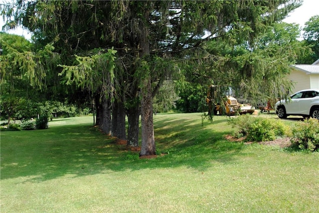 7130 Whitney Valley Rd, Almond, NY 14804 - photo 3