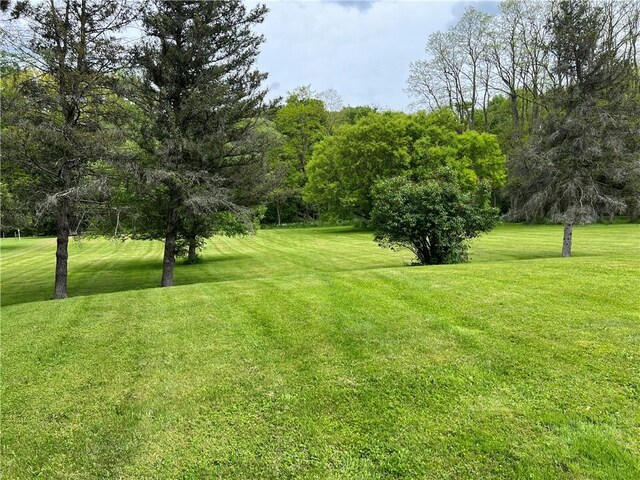 7130 Whitney Valley Rd, Almond, NY 14804 - photo 25