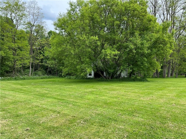 7130 Whitney Valley Rd, Almond, NY 14804 - photo 27