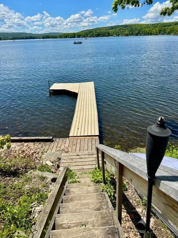 450 Stover Rd, Tyrone, NY 14815 - dock featuring a water view