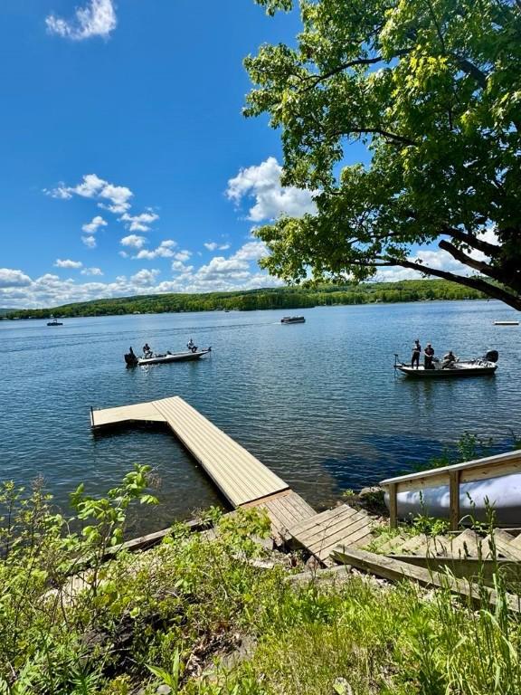 450 Stover Rd, Tyrone, NY 14815 - dock area with a water view