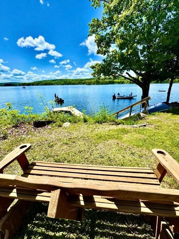 450 Stover Rd, Tyrone, NY 14815 - water view