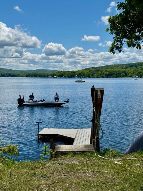 450 Stover Rd, Tyrone, NY 14815 - dock with a water view
