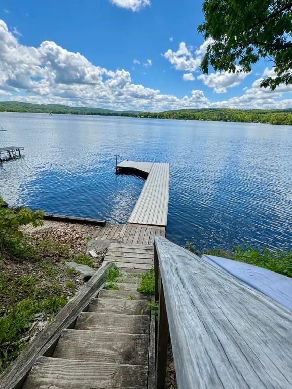 450 Stover Rd, Tyrone, NY 14815 - dock area featuring a water view