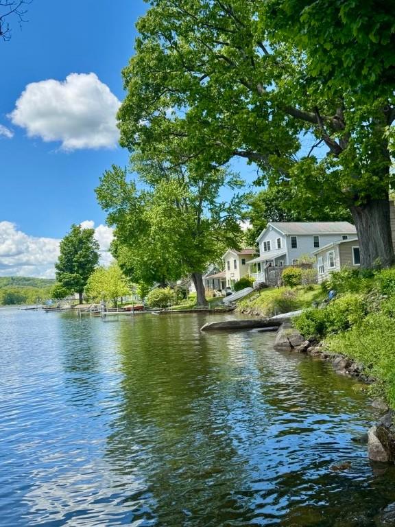 450 Stover Rd, Tyrone, NY 14815 - water view