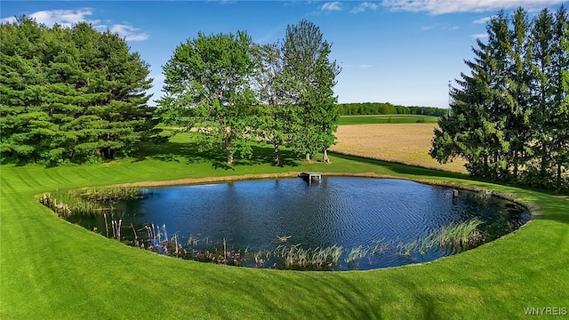 3955 Four Rod Rd Unit S, Marilla, NY 14052 - water view