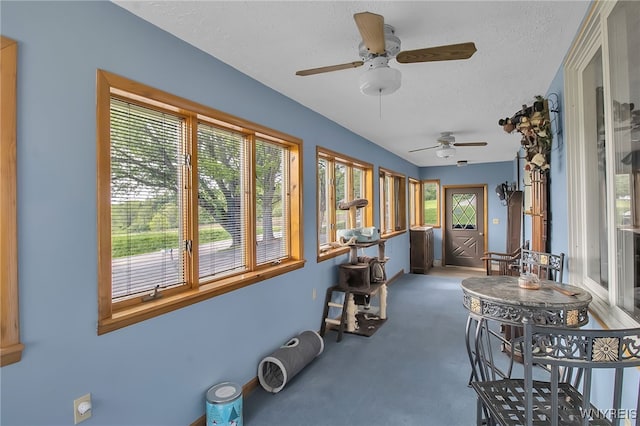 3955 Four Rod Rd Unit S, Marilla, NY 14052 - sunroom with a textured ceiling, carpet floors, and baseboards
