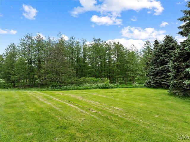 5 Byron Ln, Kirkland, NY 13323 - view of green lawn