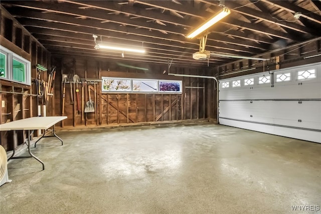 69 Coolidge Ave, Lockport-City, NY 14094 - garage featuring wood walls and a garage door opener