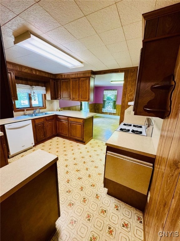 109 Clinton Ave, Cortland, NY 13045 - kitchen with dishwasher, a sink, light countertops, light flooring, and wooden walls