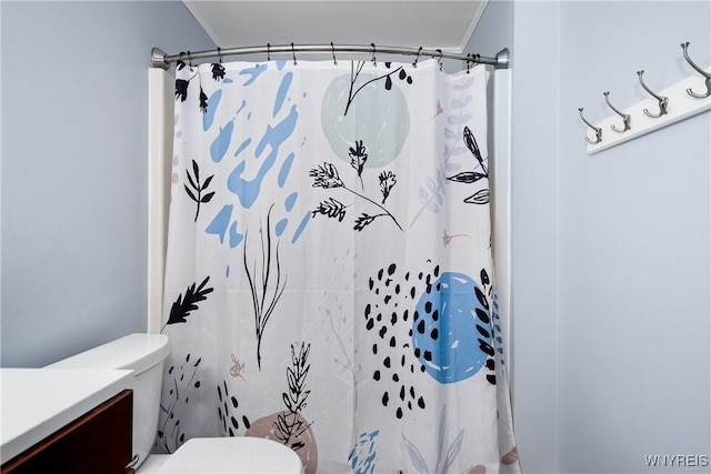 3898 Ridge Lea Rd Unit B, Amherst, NY 14228 - bathroom featuring toilet, vanity, and a shower with shower curtain
