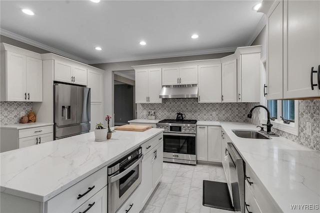 110 Hunt Club Cir, Amherst, NY 14051 - kitchen with appliances with stainless steel finishes, under cabinet range hood, a sink, ornamental molding, and white cabinets