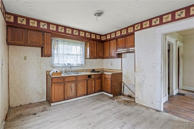 22 Bruce St, Buffalo, NY 14214 - kitchen with a sink, brown cabinets, light wood-style flooring, under cabinet range hood, and crown molding
