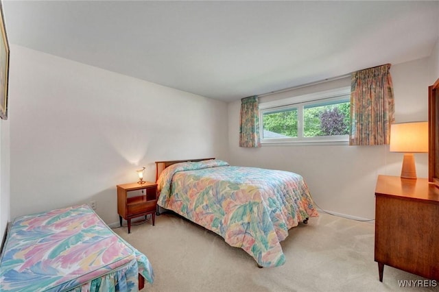 149 Fleetwood Ter, Amherst, NY 14221 - view of carpeted bedroom