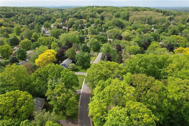 18 Chesham Way, Perinton, NY 14450 - aerial view of a forest