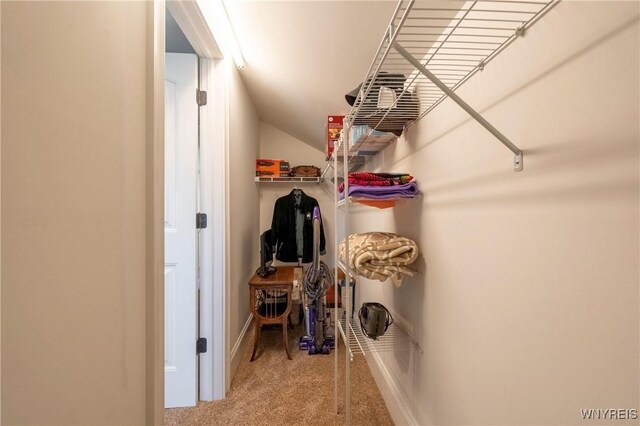 8785 Main St, Clarence, NY 14221 - spacious closet with carpet and vaulted ceiling