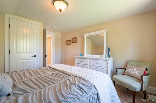 8785 Main St, Clarence, NY 14221 - view of carpeted bedroom