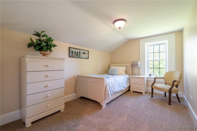 8785 Main St, Clarence, NY 14221 - bedroom with lofted ceiling, light carpet, and baseboards