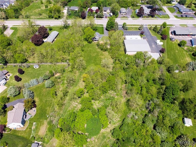 8785 Main St, Clarence, NY 14221 - view of property location featuring nearby suburban area