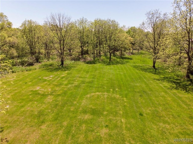 8785 Main St, Clarence, NY 14221 - view of grassy yard