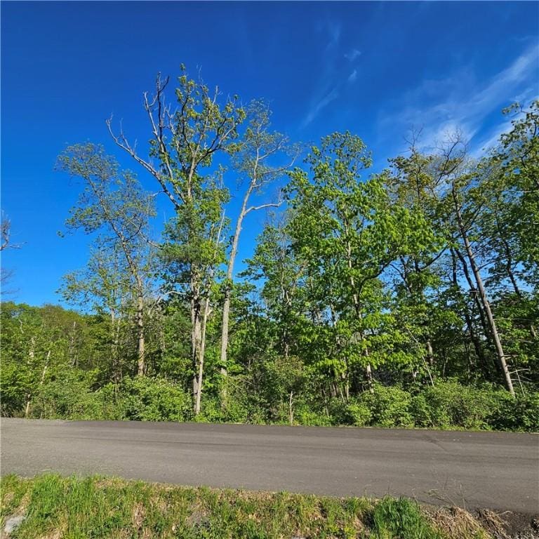 842 Larchmont Rd, Elmira, NY 14905