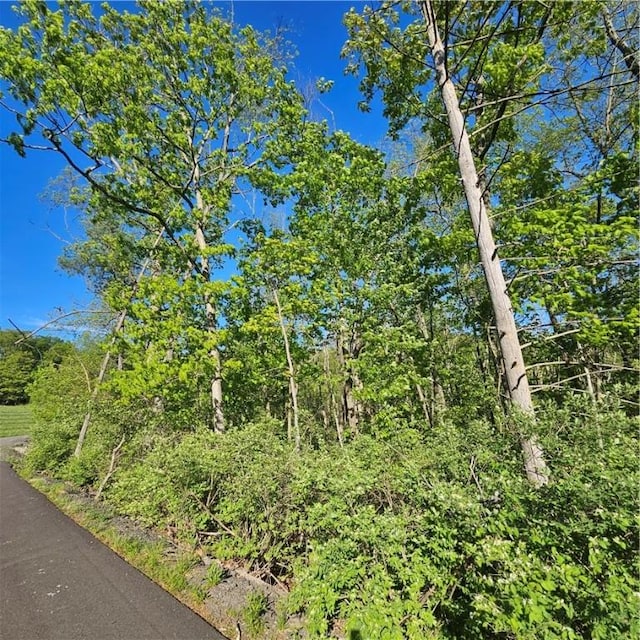 842 Larchmont Rd, Elmira, NY 14905