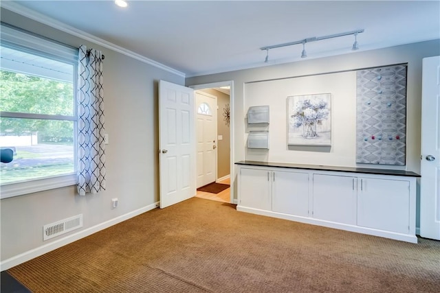 272 Shaftsbury Rd, Brighton, NY 14610 - carpeted empty room with rail lighting, baseboards, and ornamental molding