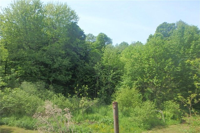 13626 Chapman Corners Rd, Wolcott, NY 13143 - photo 6