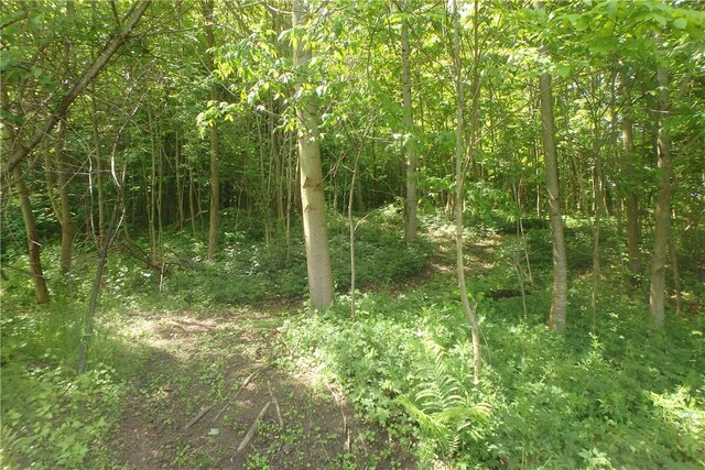 13626 Chapman Corners Rd, Wolcott, NY 13143 - photo 21