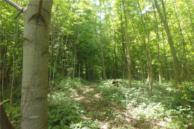 13626 Chapman Corners Rd, Wolcott, NY 13143 - photo 23