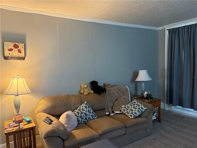 115 12th St, Dix, NY 14891 - carpeted living area with ornamental molding