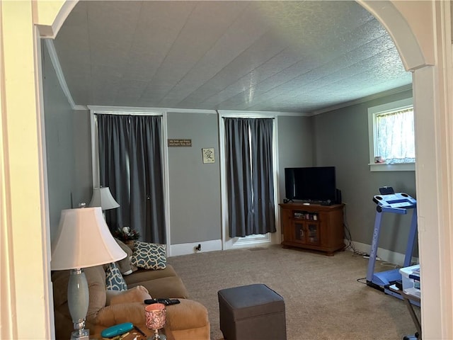 115 12th St, Dix, NY 14891 - carpeted living area with crown molding and baseboards