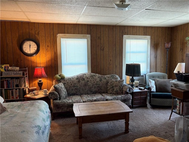115 12th St, Dix, NY 14891 - living area featuring carpet floors and wood walls