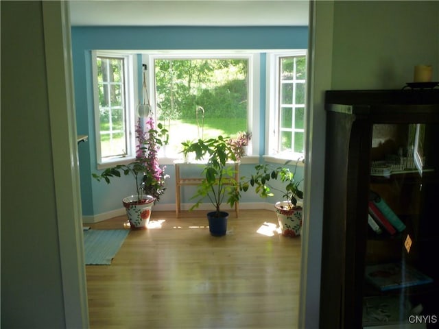 3899 Sweet Rd, Pompey, NY 13078 - doorway featuring baseboards, wood finished floors, and plenty of natural light