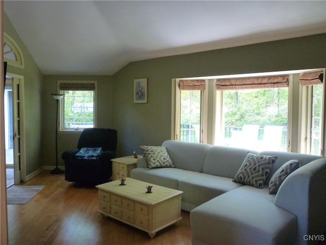 3899 Sweet Rd, Pompey, NY 13078 - living room with vaulted ceiling, wood-type flooring, and baseboards