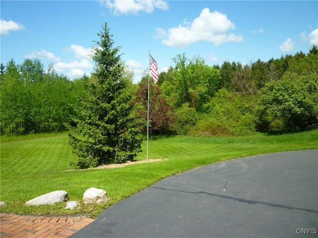 3899 Sweet Rd, Pompey, NY 13078 - view of grassy yard featuring a view of trees