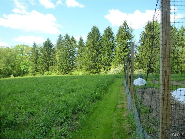 3899 Sweet Rd, Pompey, NY 13078 - view of yard