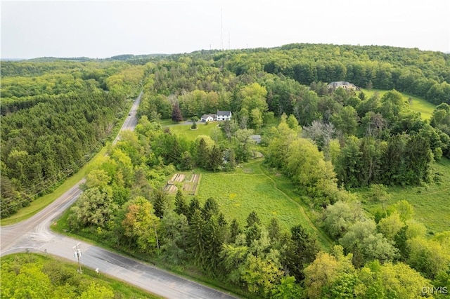 3899 Sweet Rd, Pompey, NY 13078 - photo 48