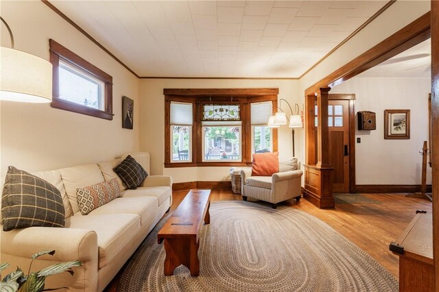 110 Lansdale St, Rochester, NY 14620 - living room featuring ornamental molding, wood finished floors, and baseboards