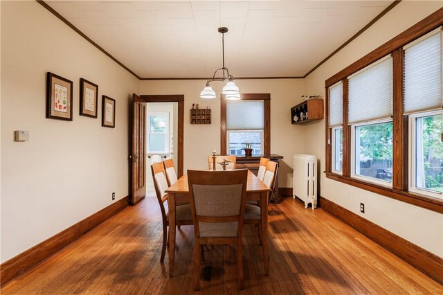 110 Lansdale St, Rochester, NY 14620 - dining space featuring radiator, wood-type flooring, ornamental molding, and baseboards