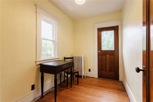 110 Lansdale St, Rochester, NY 14620 - foyer with radiator, plenty of natural light, light wood-type flooring, and baseboards