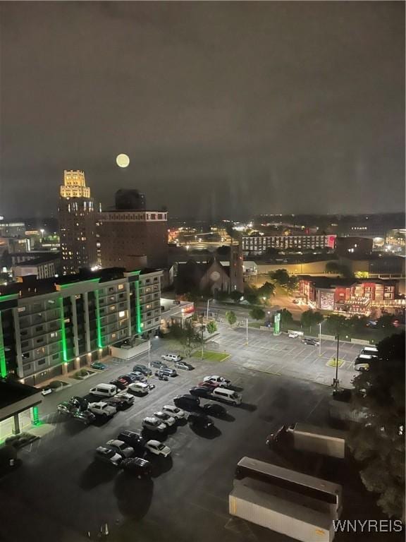 151 Buffalo Ave Unit 404, Niagara Falls, NY 14303 - view of city