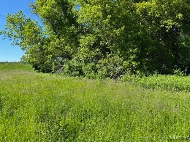 7121 Gowanda State Rd, Eden, NY 14075