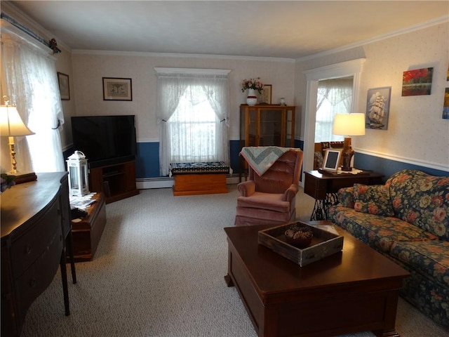 136 Platt St, Erwin, NY 14870 - living room with a baseboard radiator, ornamental molding, and carpet floors