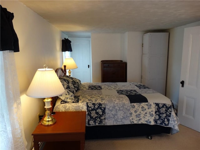 136 Platt St, Erwin, NY 14870 - view of carpeted bedroom