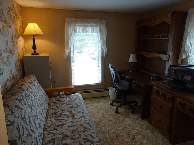 136 Platt St, Erwin, NY 14870 - office area featuring carpet floors