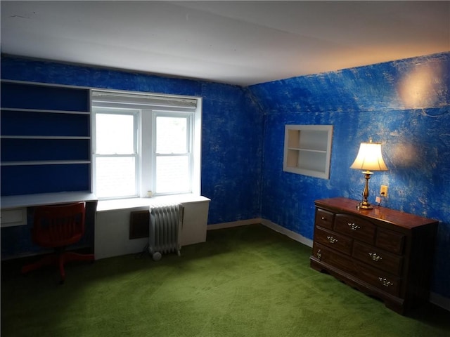 136 Platt St, Erwin, NY 14870 - unfurnished bedroom with radiator heating unit, carpet, and baseboards