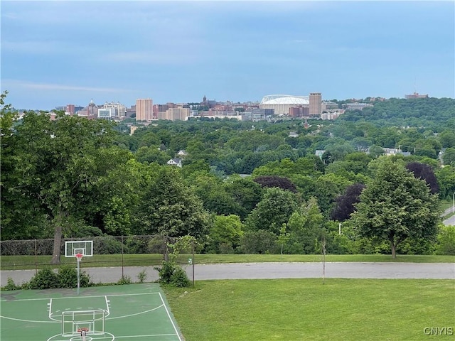 626 Roberts Ave, Syracuse, NY 13207 - view of property's community with community basketball court and a city view