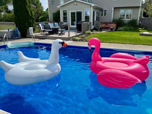 56 Edenfield Rd, Penfield, NY 14526 - view of swimming pool featuring a patio area