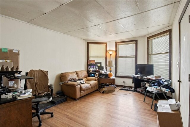 262 Pearl St, Rochester, NY 14607 - office space with wood finished floors and a drop ceiling